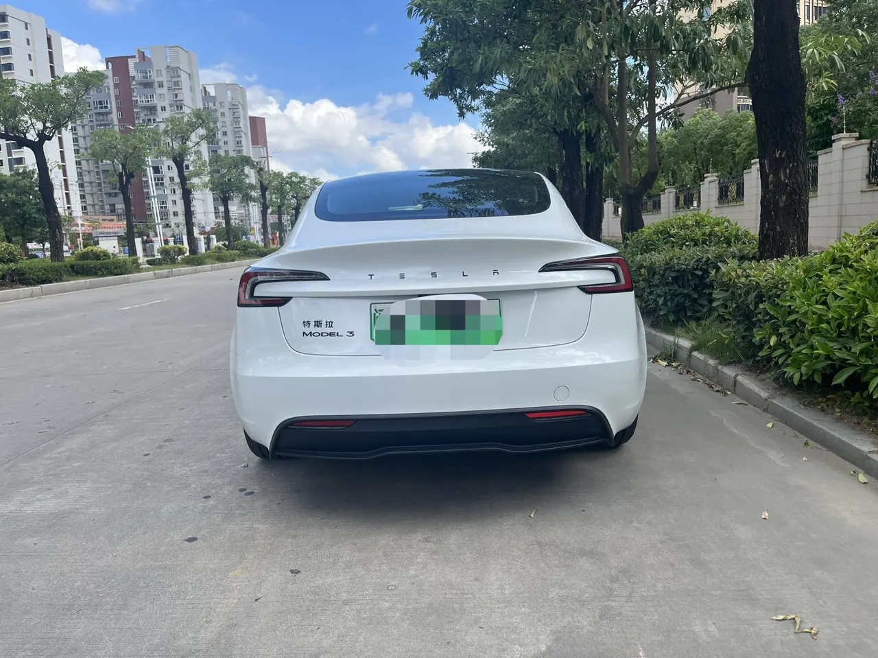 Tesla 2025 Model 3 Rear-Wheel-Drive Edition (facelift) Automatic Transmission 8