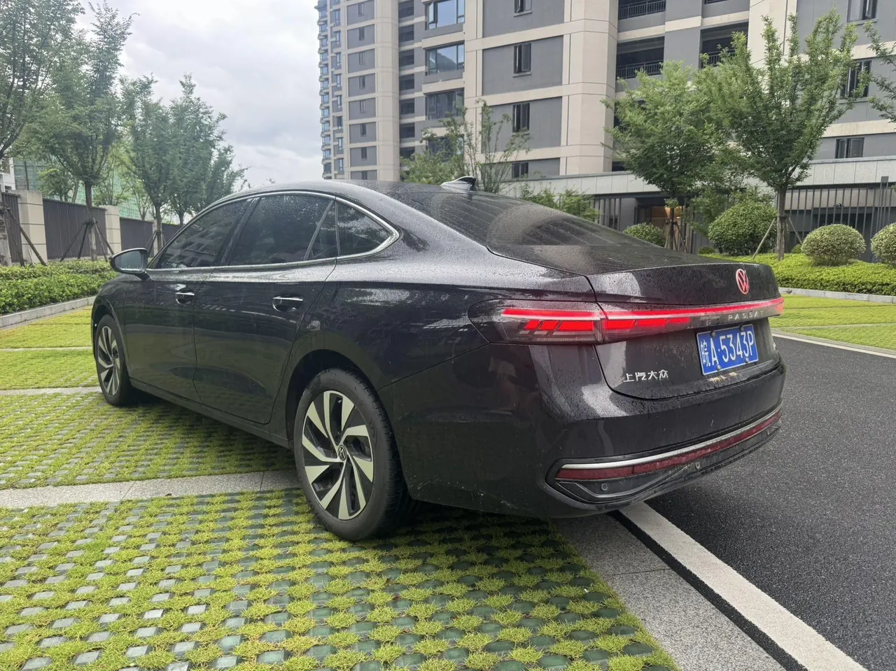 Volkswagen 2025 Passat Pro 2.0TSI 380TSI Long Yao Edition Automatic 7
