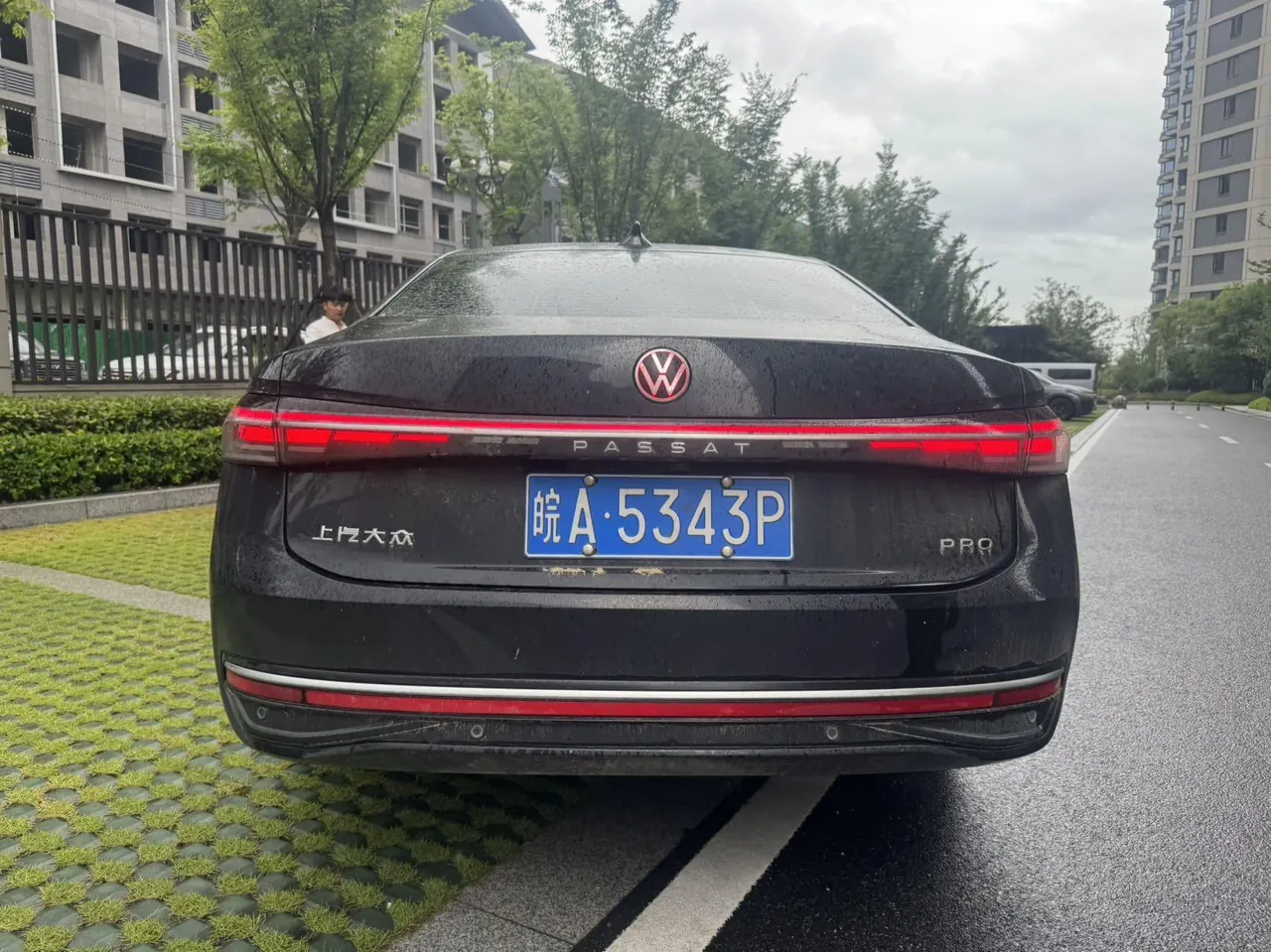 Volkswagen 2025 Passat Pro 2.0TSI 380TSI Long Yao Edition Automatic 8