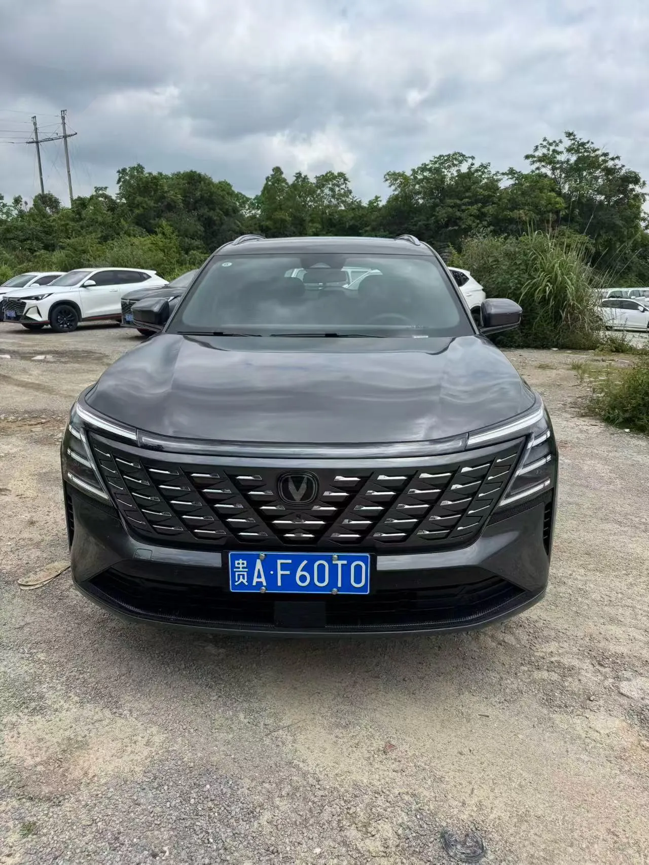 ChangAn 2025 CS75 PLUS 1.5T New Blue Whale Smart Excellent Automatic Gear 2
