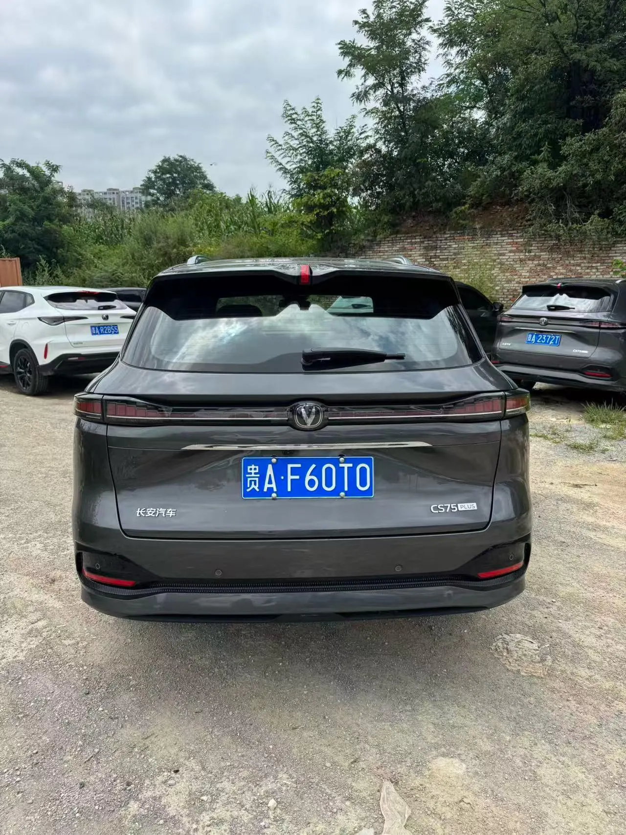 ChangAn 2025 CS75 PLUS 1.5T New Blue Whale Smart Excellent Automatic Gear 8