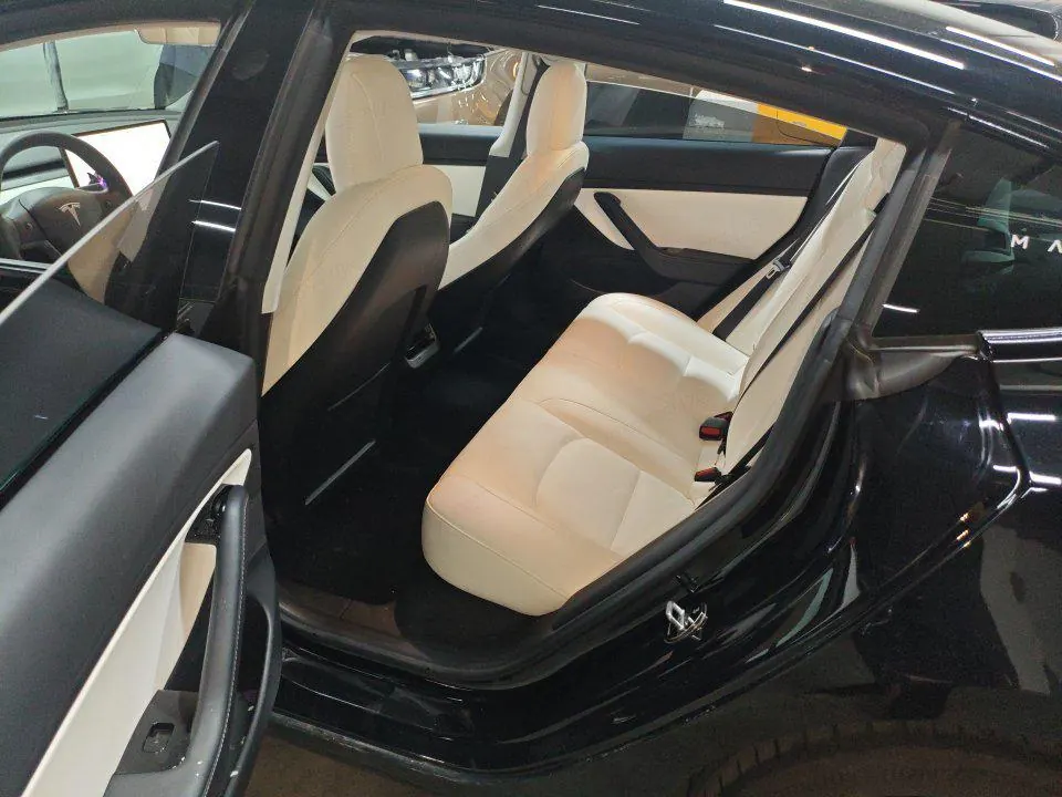 Tesla 2020 Model 3 Standard Endurance Rear Drive Upgraded Automatic Gear 3