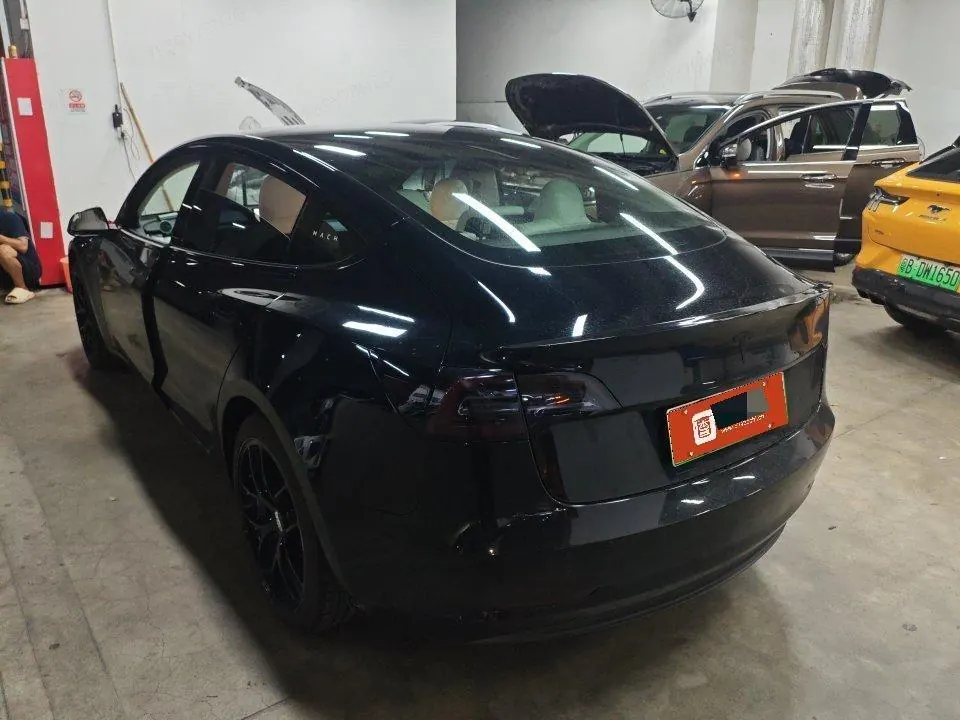 Tesla 2020 Model 3 Standard Endurance Rear Drive Upgraded Automatic Gear 5