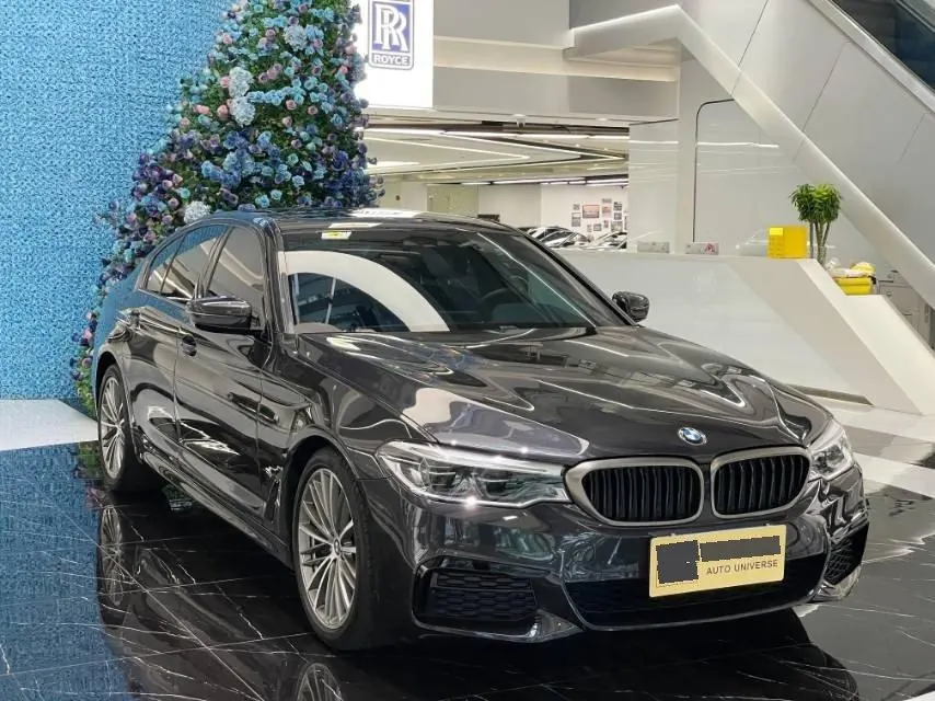 BMW 5 Series (Imported) 2020 530i 2.0T M Sports Suit Automatic Gear 2