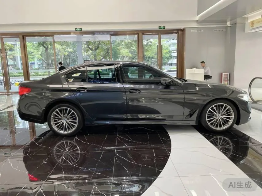 BMW 5 Series (Imported) 2020 530i 2.0T M Sports Suit Automatic Gear 3