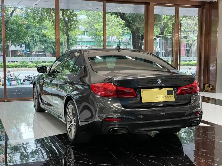 BMW 5 Series (Imported) 2020 530i 2.0T M Sports Suit Automatic Gear 4