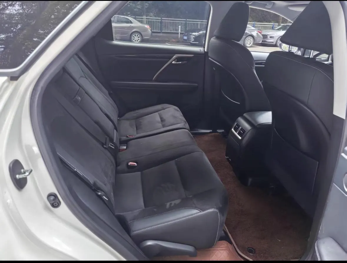 Lexus RX (Imported) 2020 RX300 2.0T Two-Drive Elite Edition (Revised) Automatic Gear 3
