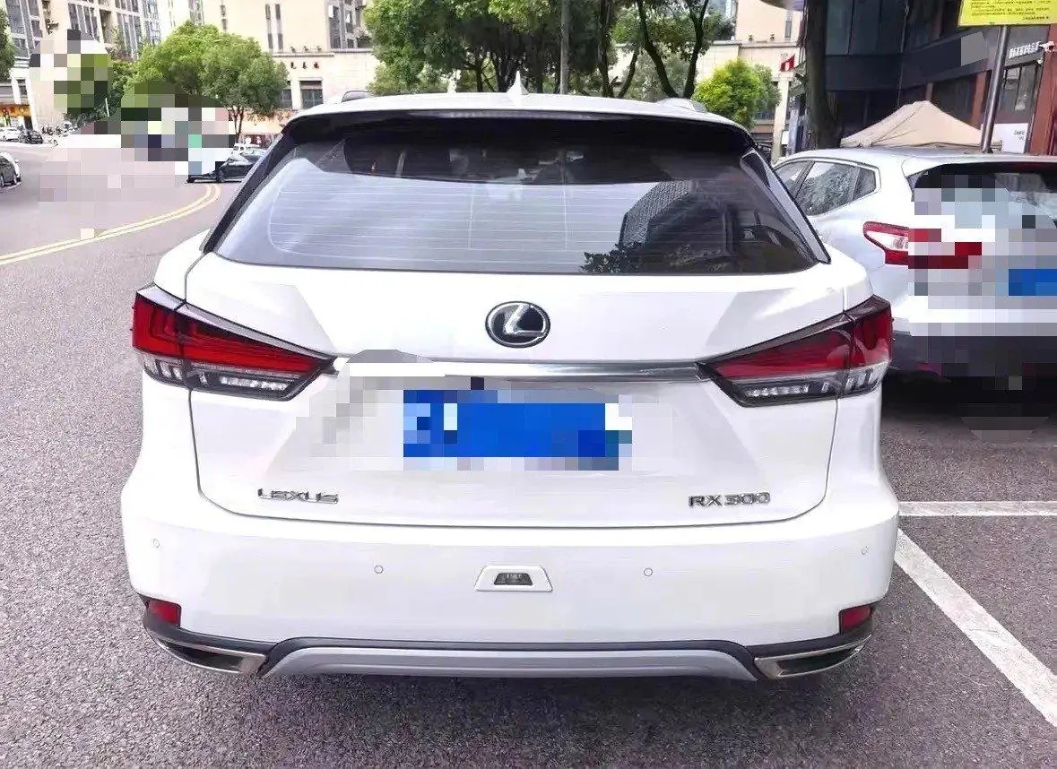 Lexus RX (Imported) 2020 RX300 2.0T Two-Drive Elite Edition (Revised) Automatic Gear 5