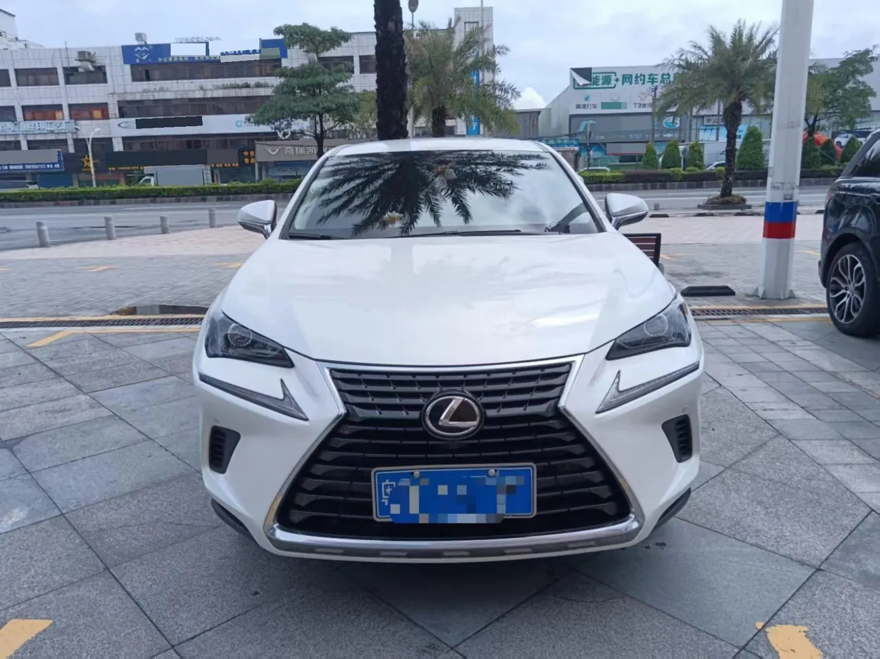 Lexus NX (Imported) 2020 NX200 2.0 Stepless Automatic Gear 2