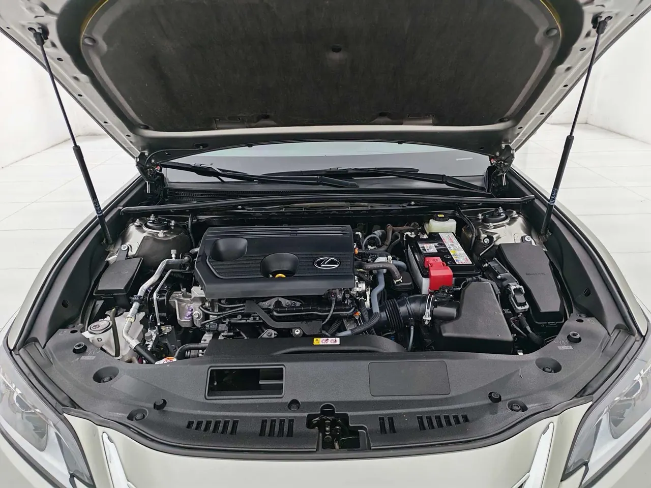 Lexus ES (Imported) 2024 ES200 2.0 Stepless Edition Automatic Gear 15