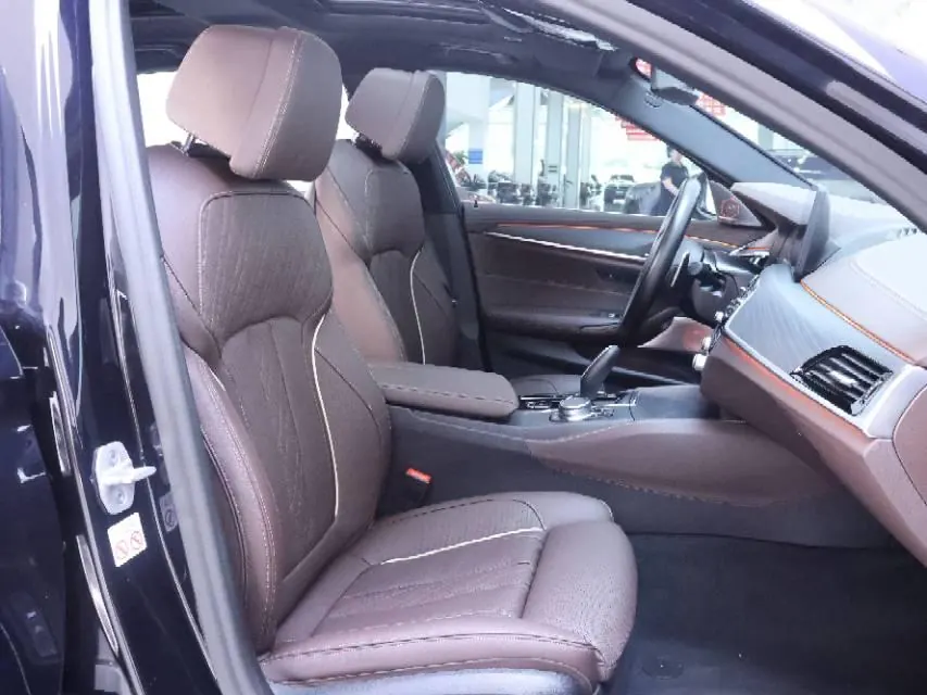 BMW 5 Series 2021 530Li 2.0T Exclusive M Sports Suit Automatic Gear 6