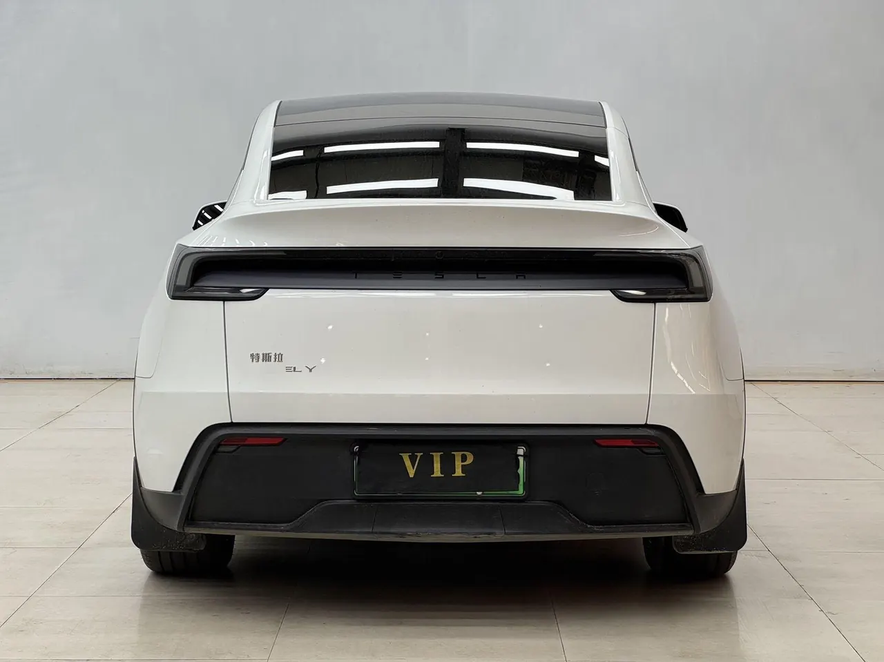 Tesla 2025 Model Y rear-wheel drive version automatic transmission 8