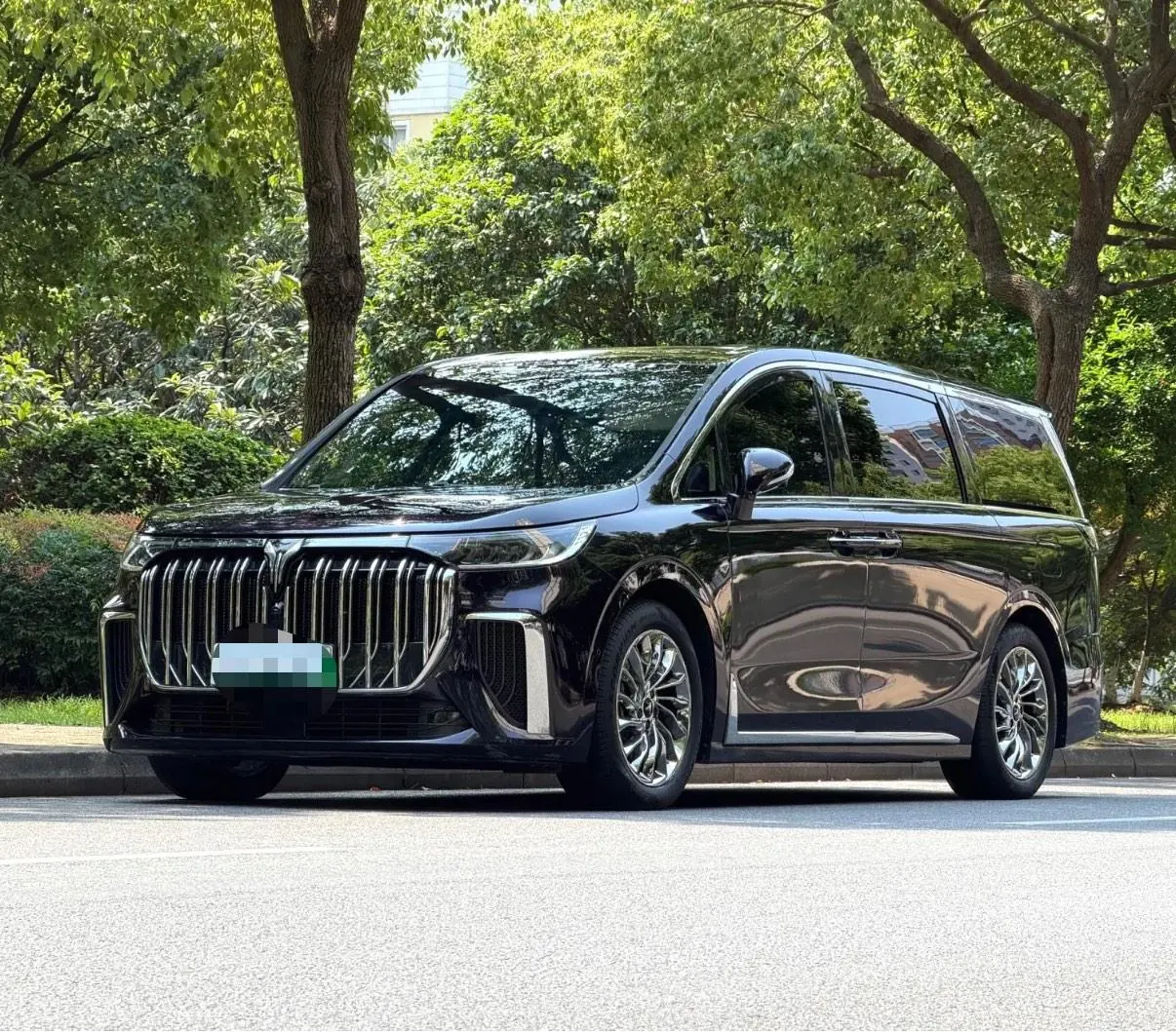 Voyah 2024 dreamers PHEV 1.5T long endurance flagship automatic gear - View 1