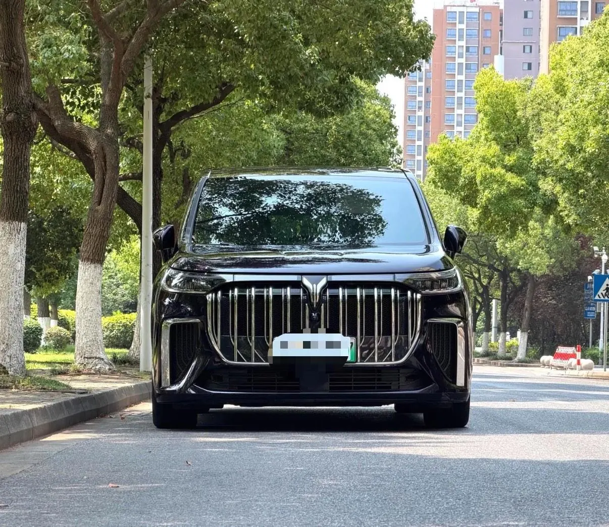 Voyah 2024 dreamers PHEV 1.5T long endurance flagship automatic gear 2