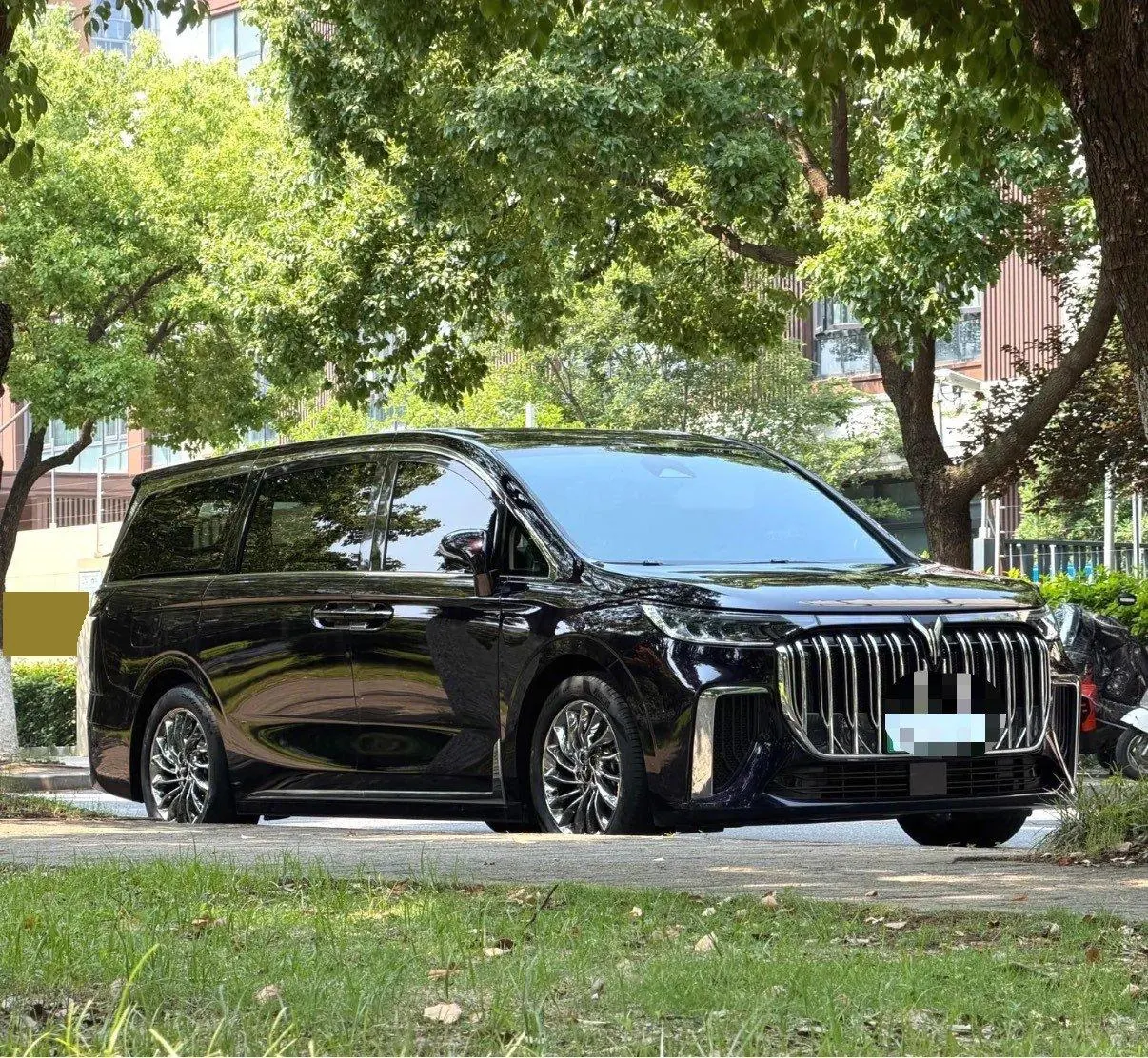 Voyah 2024 dreamers PHEV 1.5T long endurance flagship automatic gear 3