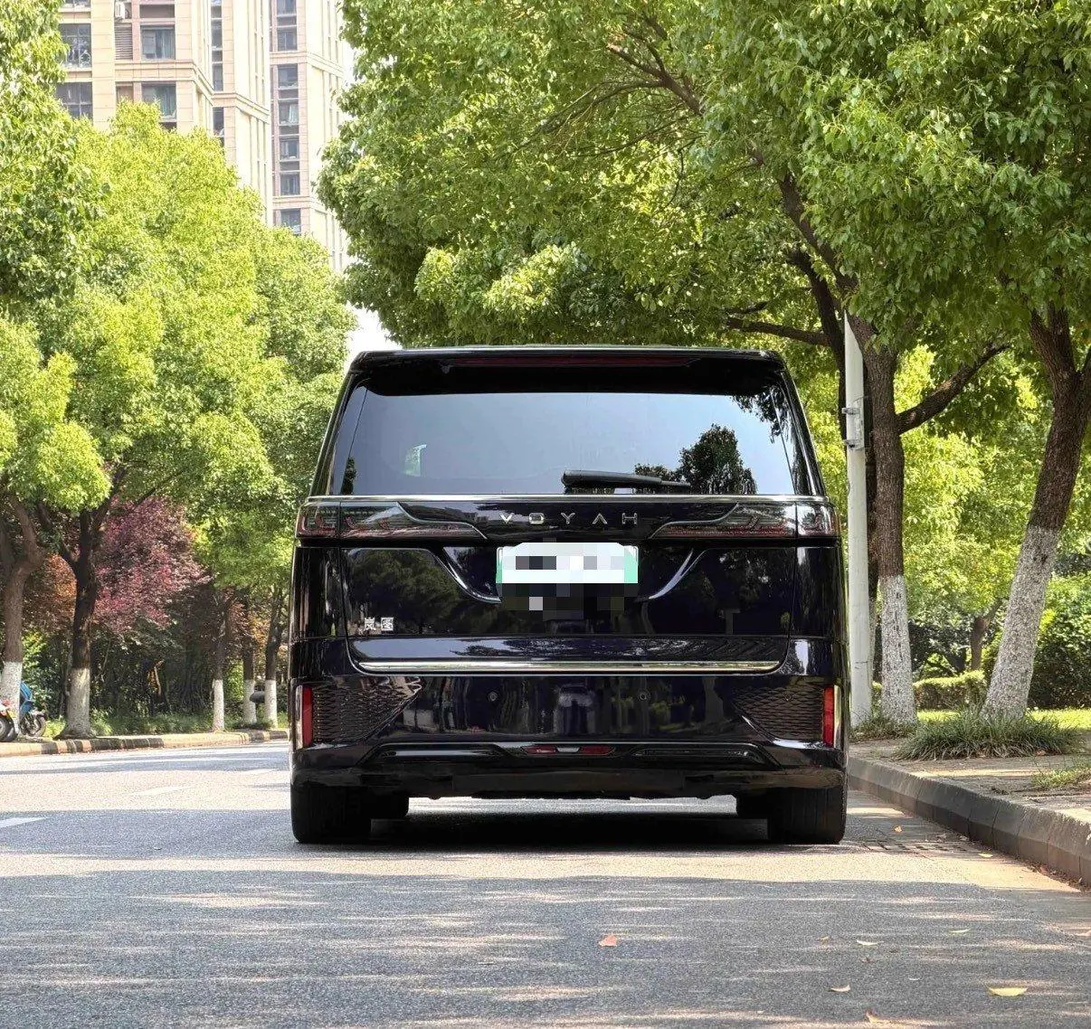 Voyah 2024 dreamers PHEV 1.5T long endurance flagship automatic gear 5
