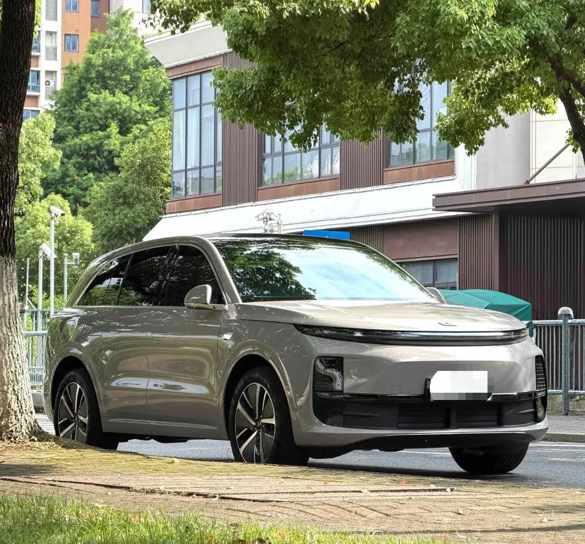 Li 2024 L6 Pro automatic gear 3