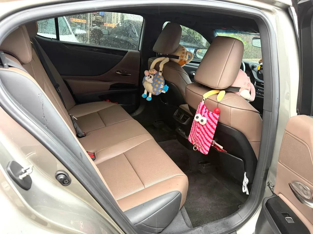 Lexus ES (Imported) 2023 ES200 2.0 Stepless Premium Edition Automatic Gear 4