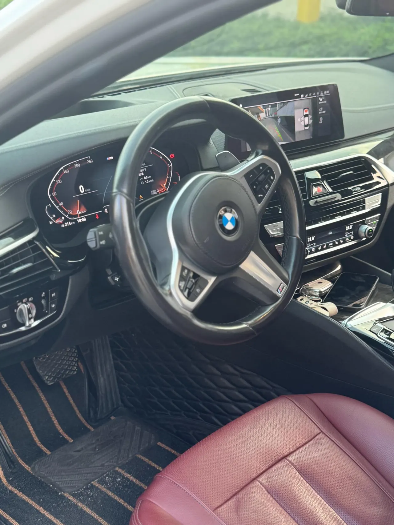 BMW 5 Series 2020 530Li 2.0T Exclusive M Sports Suit Automatic Gear 9
