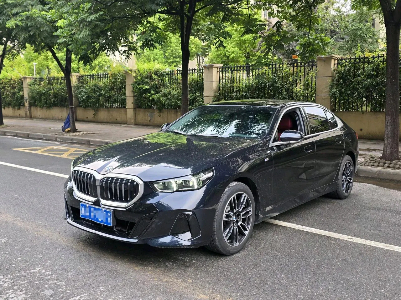 BMW 5 Series 2025 530Li 48V 2.0T Leading M Sports Suit Automatic Gear - View 1