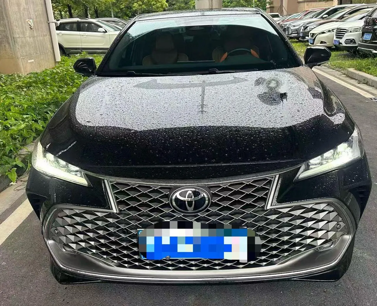 Toyota 2024 Asian Dragon Double Engine 2.5 Stepless XLE Premium Automatic Gear 2