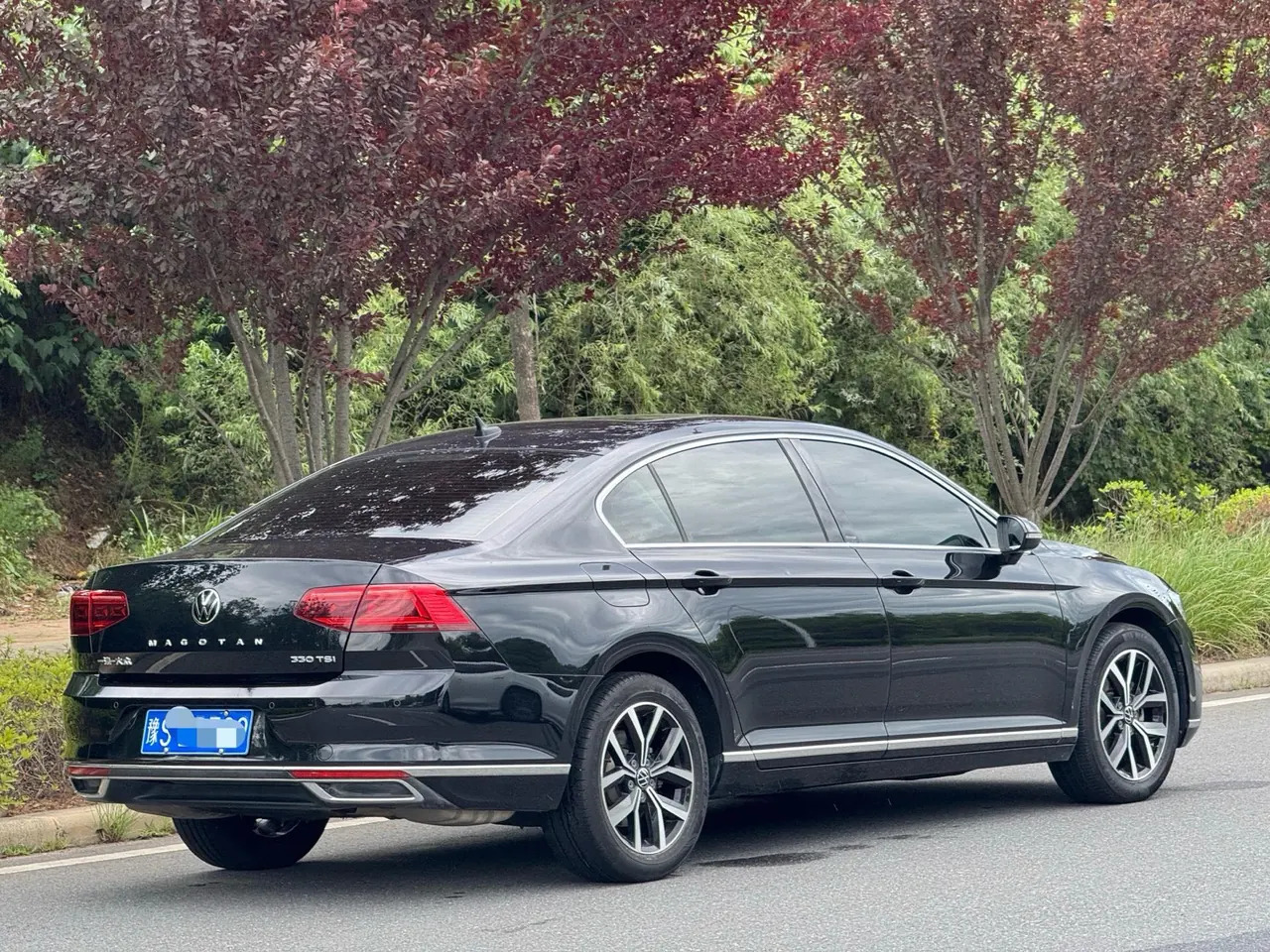 Volkswagen 2020 Magotan 2.0TSI 330TSI Leading Automatic 9