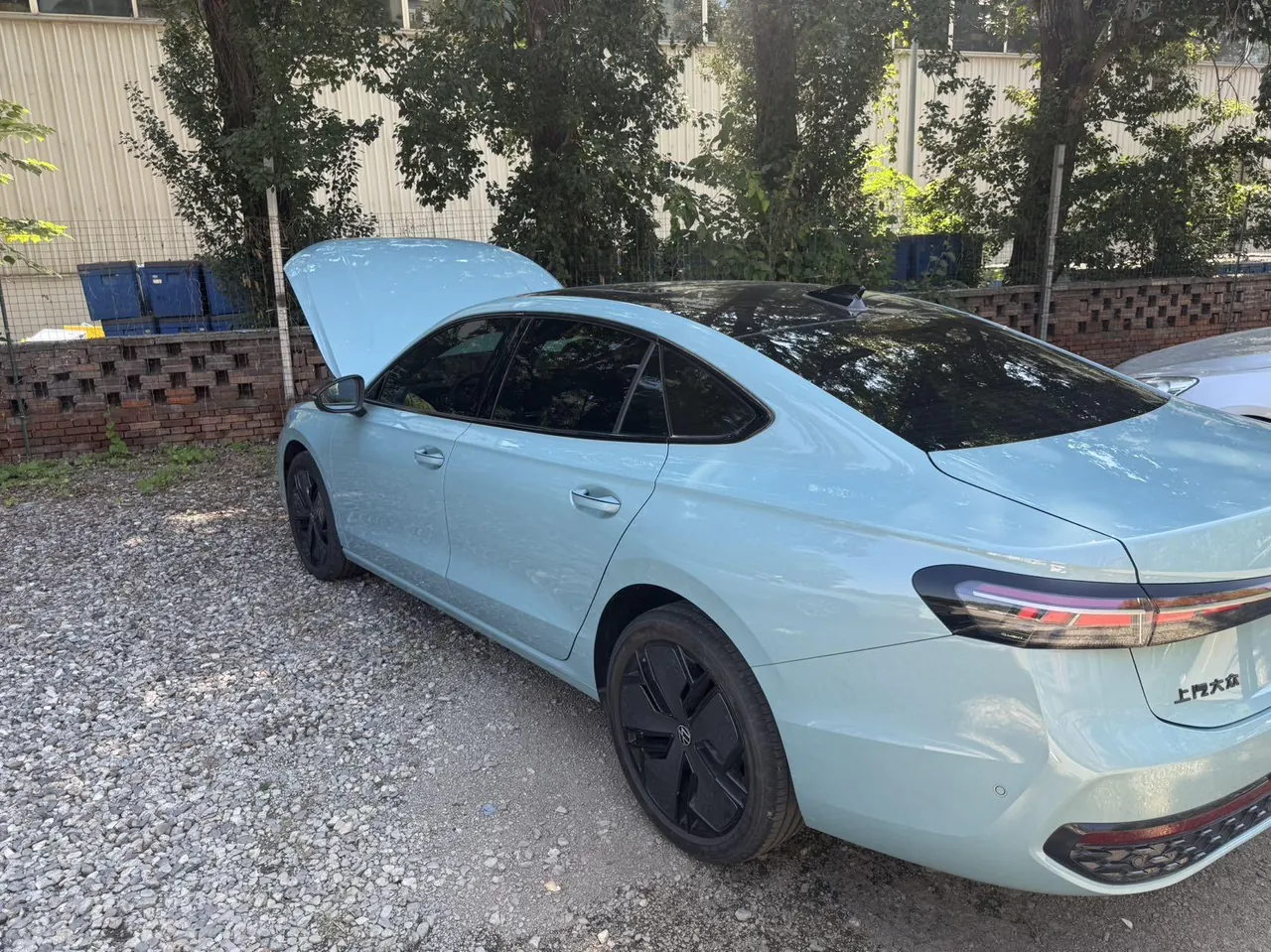 Volkswagen 2025 Passat Pro 2.0TSI 380TSI Star Dragon Edition Automatic 5