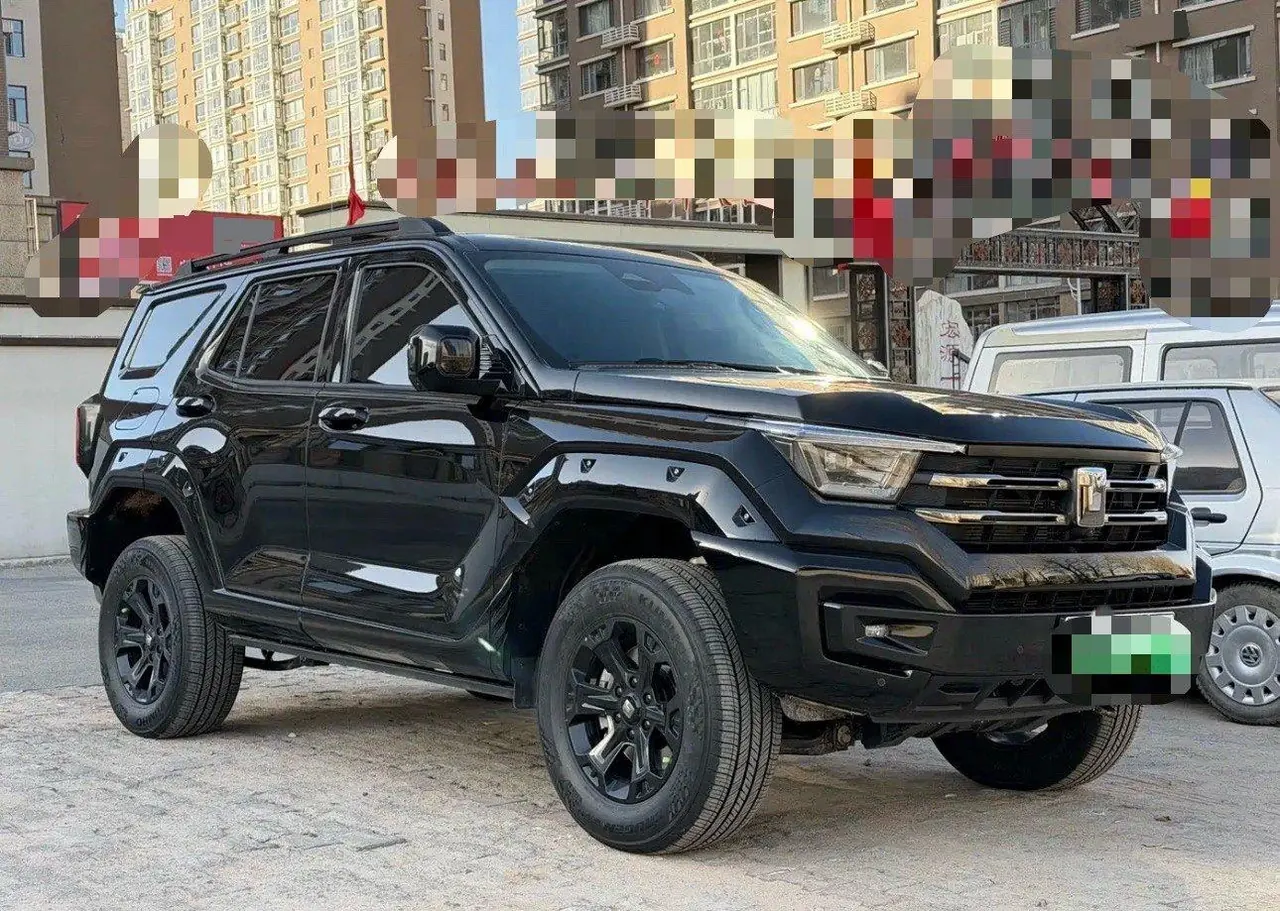 Tank 2024 Tank 400 Hi4-T 2.0T off-road version automatic gear 2