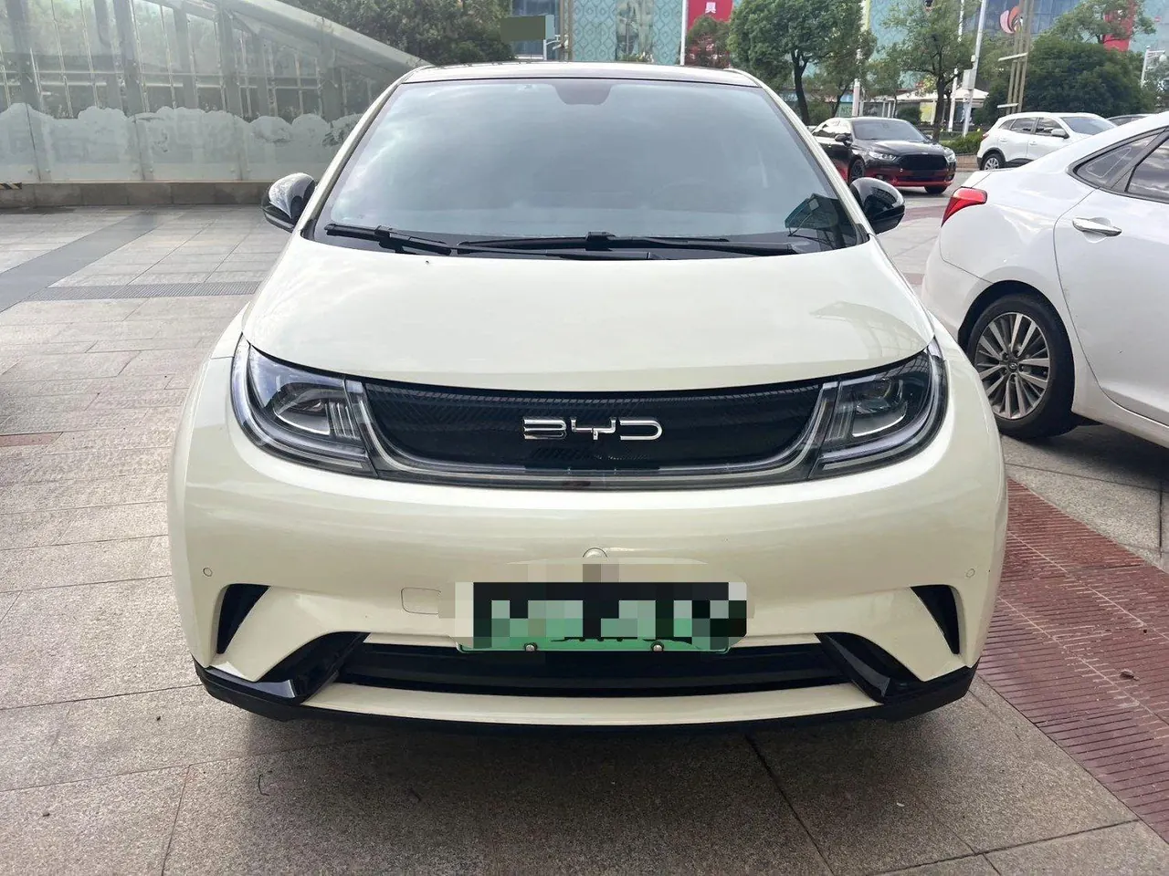 BYD 2023 Dolphin 420km Fashion Edition Automatic 2