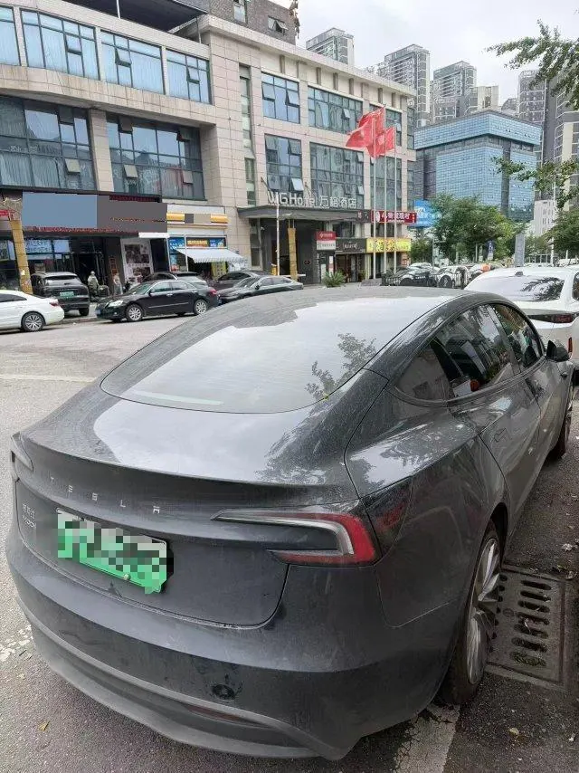 Tesla 2023 Model 3 Rejuvenation Edition Rear Wheel Drive Automatic Transmission 2