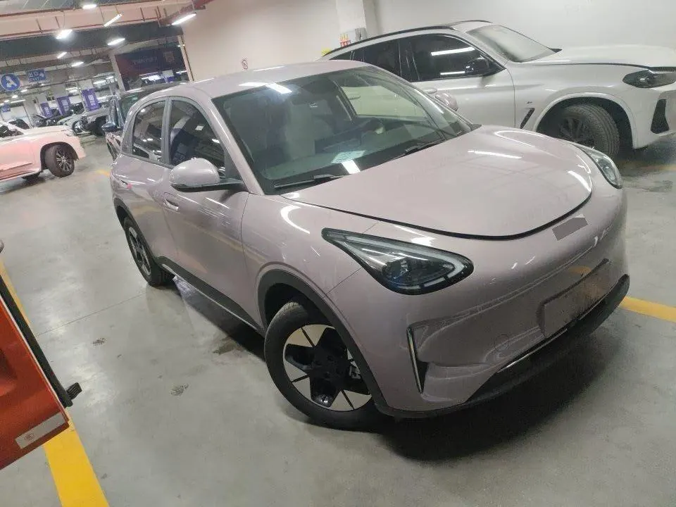 Geely 2026 Star Wish 310km Dream Edition Automatic Gear 2