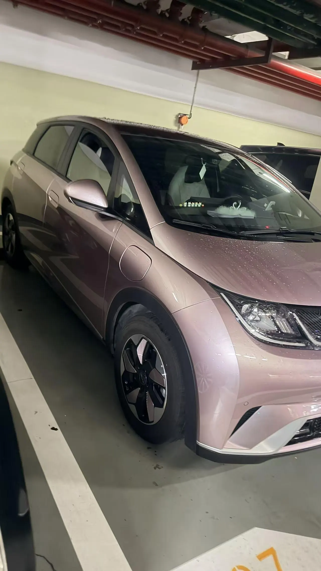 BYD 2024 Dolphin Glory Edition 420km Fashion Edition Automatic Gear 6