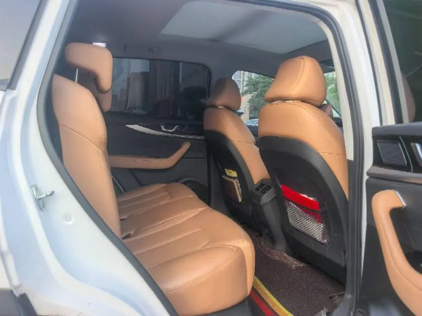 Weltmeister 2021W 6 520km ACE Extremely Intelligent Automatic Gear 7