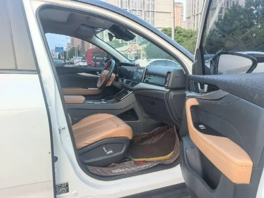 Weltmeister 2021W 6 520km ACE Extremely Intelligent Automatic Gear 8