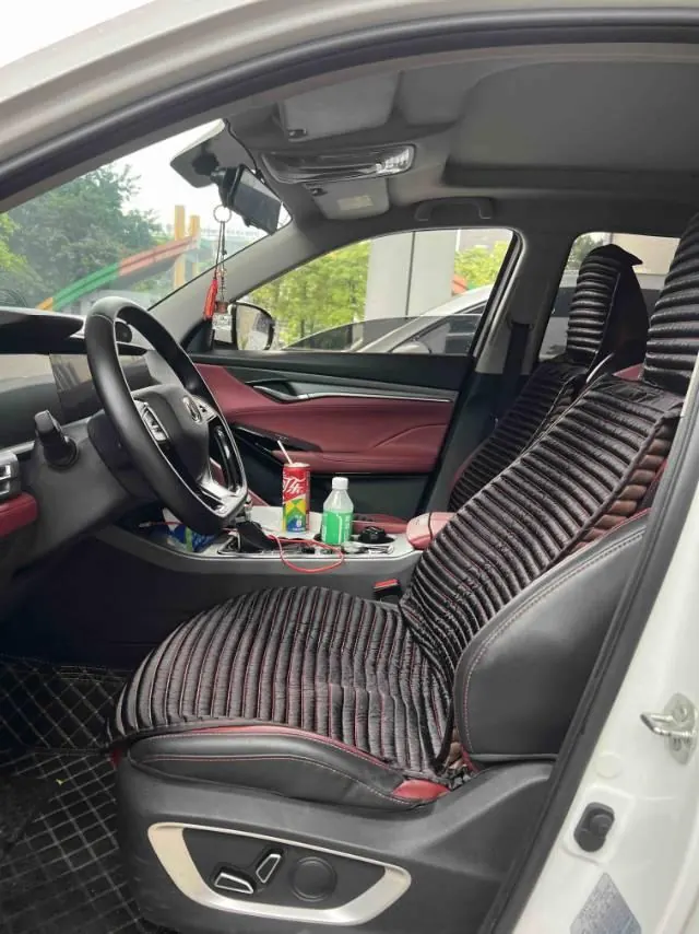 ChangAn 2021 CS75 PLUS 1.5T Luxury Automatic Gear 4