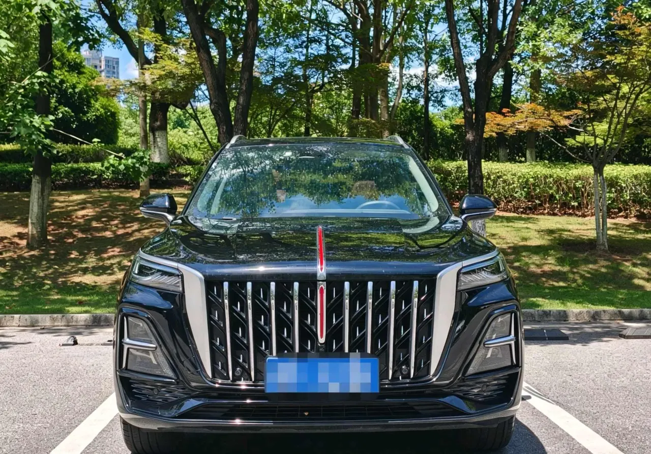 HongQi 2025 HS5 2.0T Two-Drive Flag Enjoy Pro Edition Automatic Gear 2