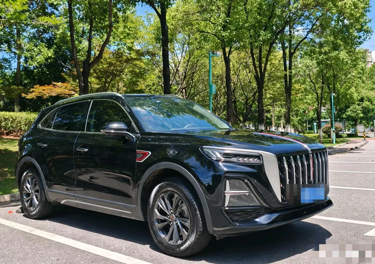 HongQi 2025 HS5 2.0T Two-Drive Flag Enjoy Pro Edition Automatic Gear 3