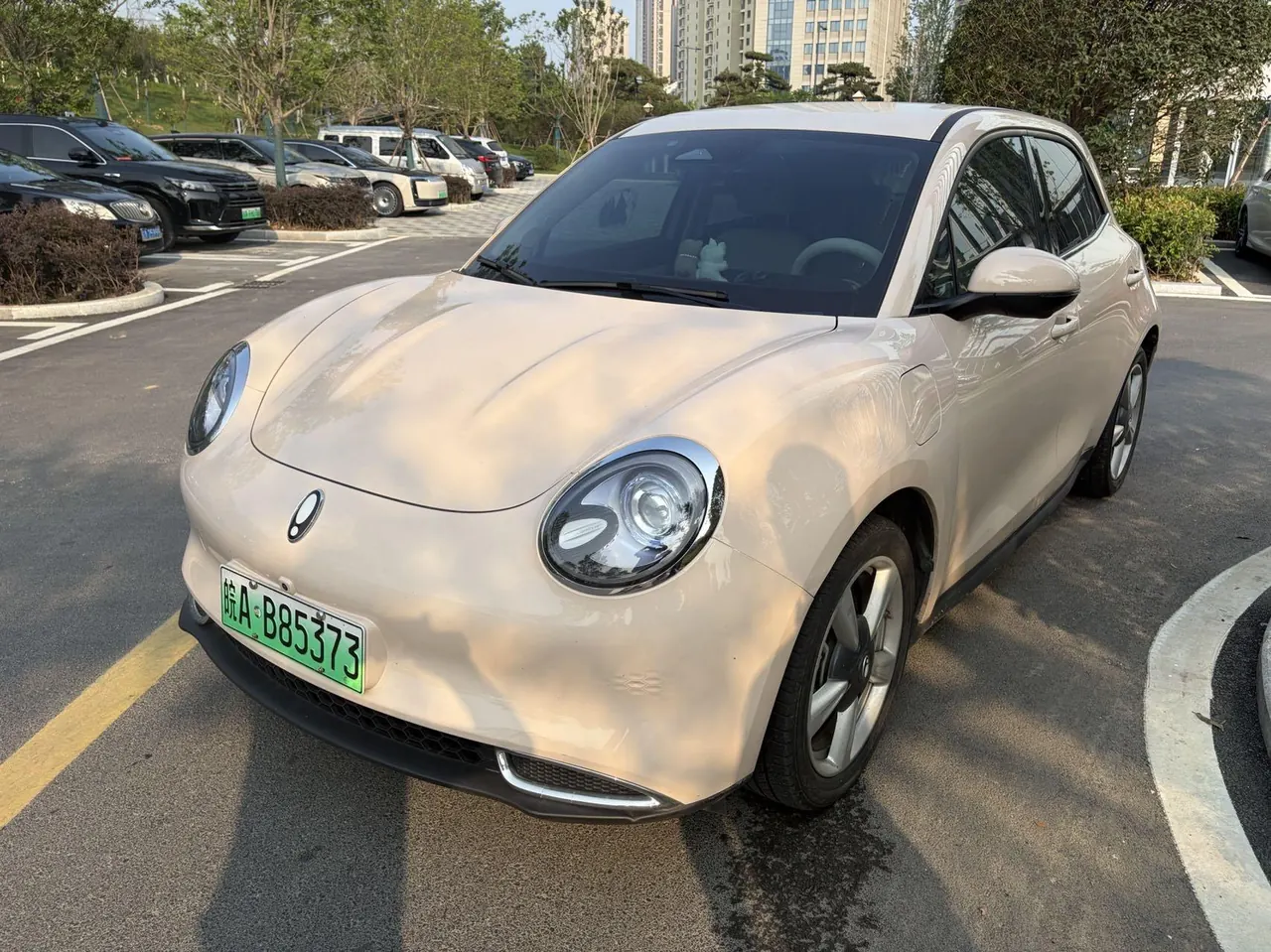 Open image lightbox: Ora 2023 Good Cat 401km Standard Endurance Comfortable Lithium Iron Phosphate Automatic Gear
