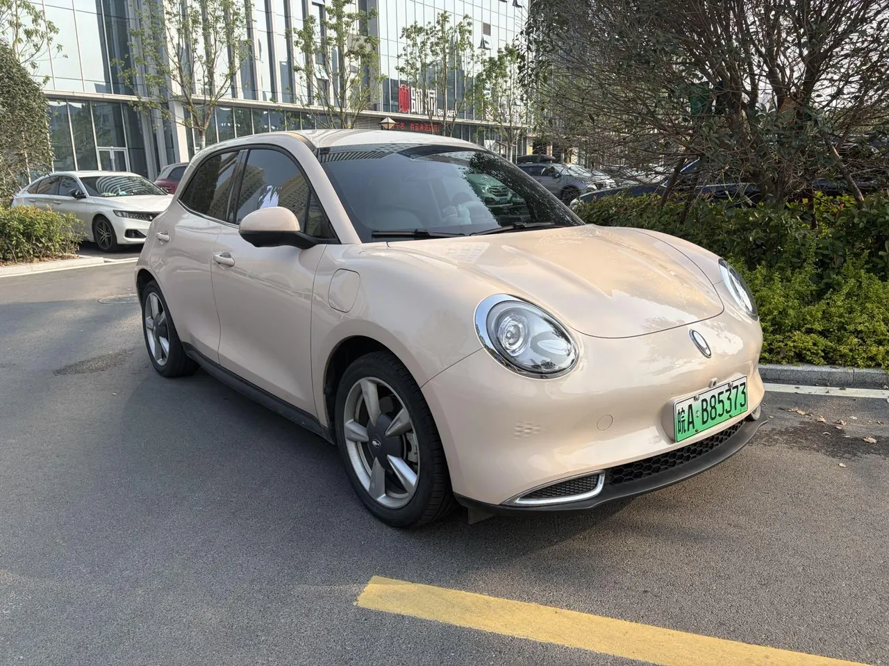 Ora 2023 Good Cat 401km Standard Endurance Comfortable Lithium Iron Phosphate Automatic Gear 3