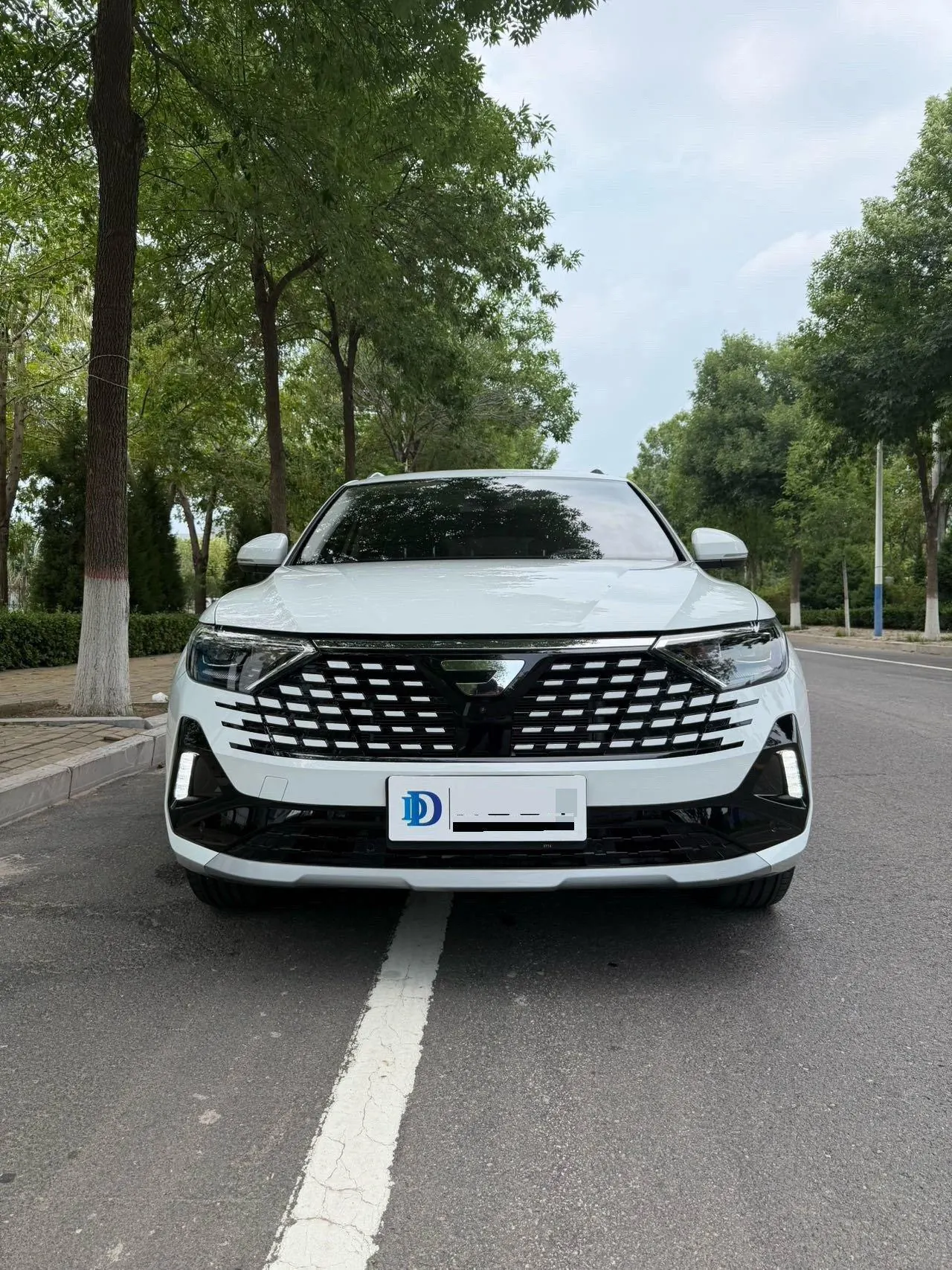 Jetta 2026 Jetta VS7 1.4TSI 280TSI “A Thousand Miles of Rivers and Mountains” Honor Edition Automatic Transmission 2