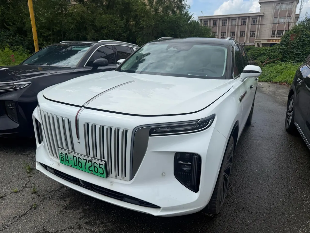 Open image lightbox: HongQi 2022 E-HS 9 660km Flag Collar Edition 4-seat Automatic Gear