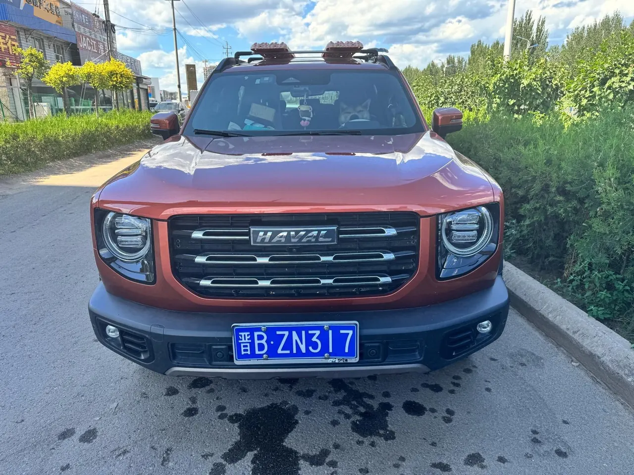 Haval 2021 Big Dogs 1.5T Border Animal Husbandry Wangcai Edition Automatic Gear 2
