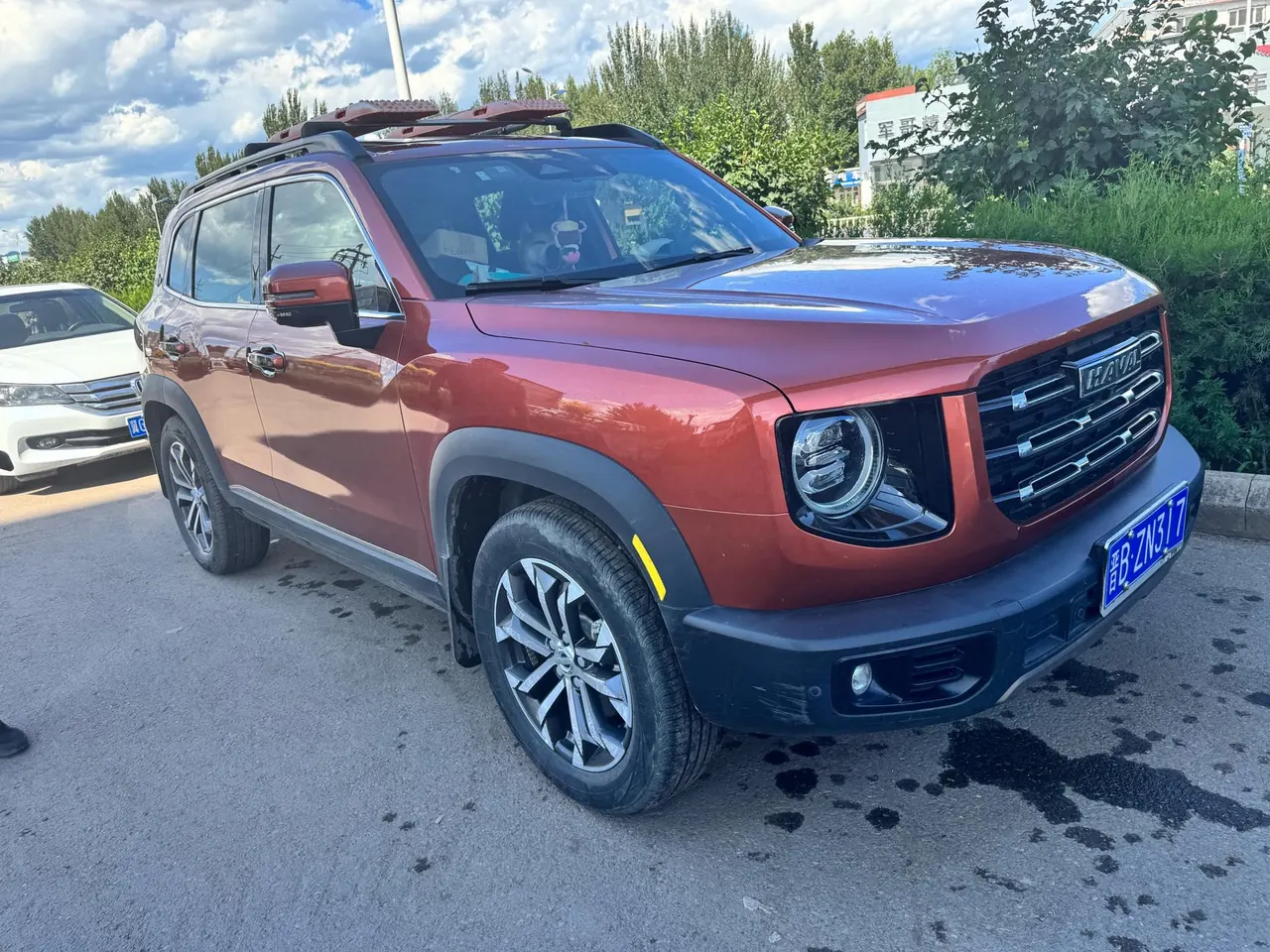 Haval 2021 Big Dogs 1.5T Border Animal Husbandry Wangcai Edition Automatic Gear 3