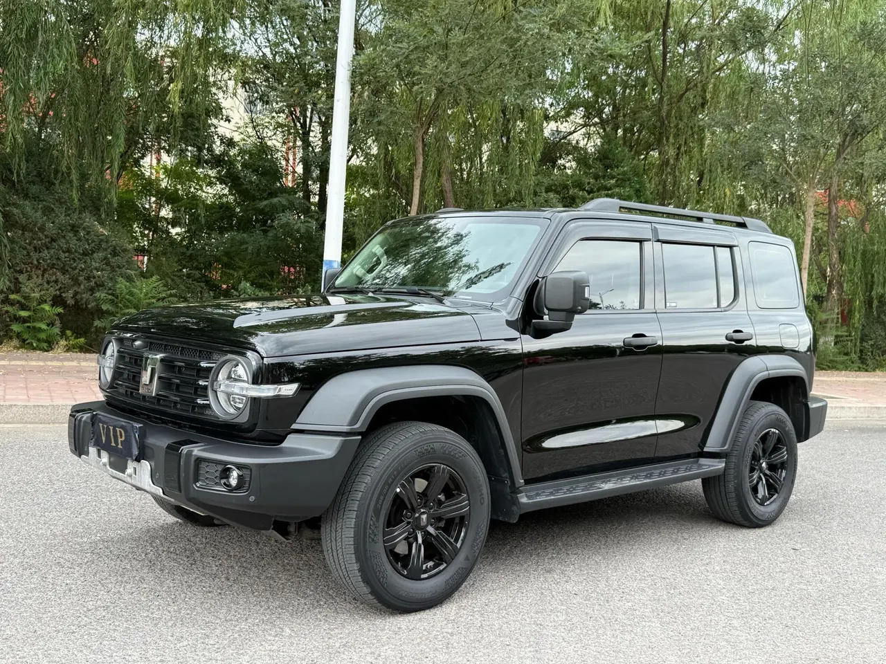 Tank 2023 Tank 300 2.0T Off-road Conqueror Automatic - View 1