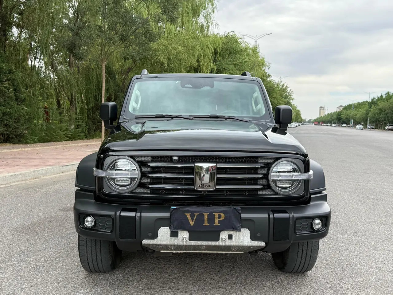 Tank 2023 Tank 300 2.0T Off-road Conqueror Automatic 2