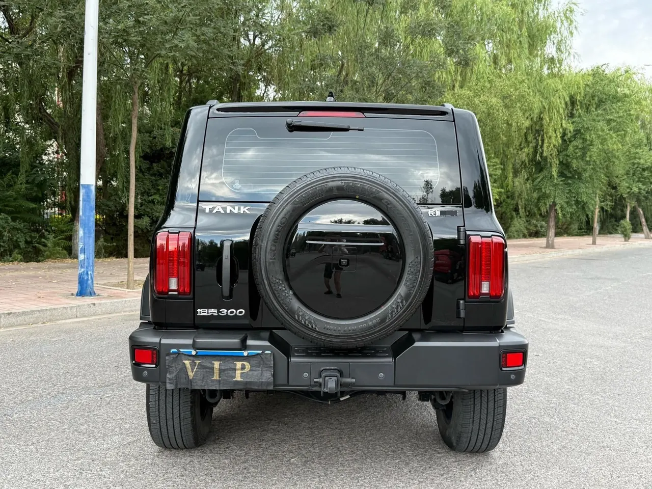 Tank 2023 Tank 300 2.0T Off-road Conqueror Automatic 8