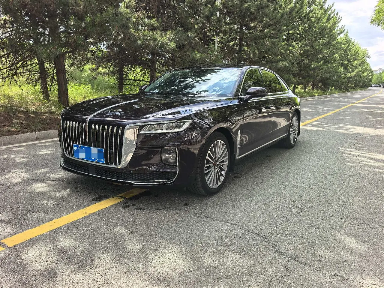 HongQi 2020 H9 48V 2.0T Zhilian Flag Chang Edition (Changed) Automatic Gear - View 1