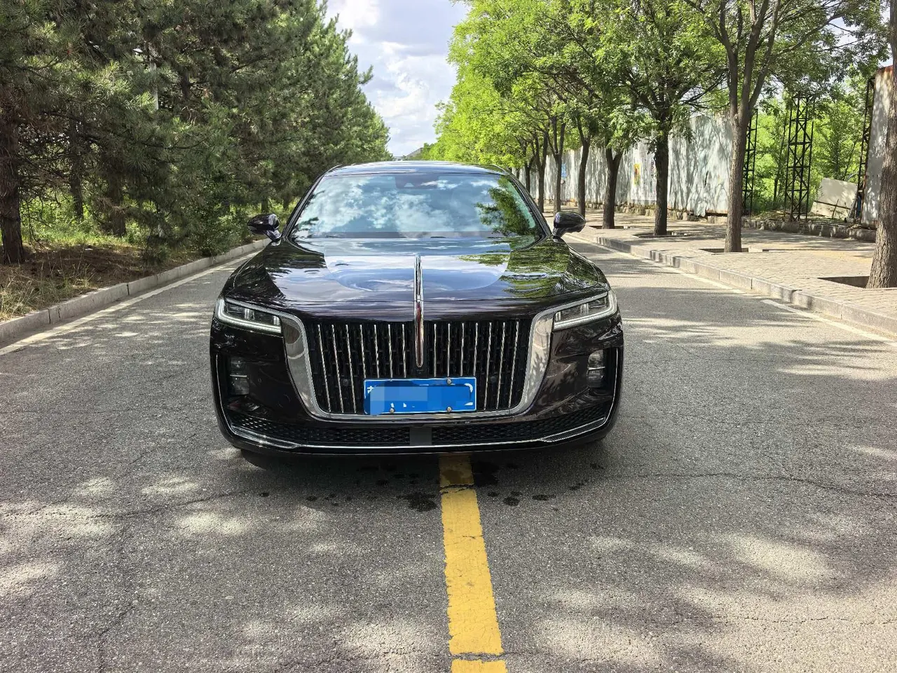 HongQi 2020 H9 48V 2.0T Zhilian Flag Chang Edition (Changed) Automatic Gear 3