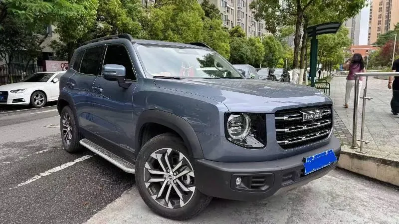 Haval 2021 Big Dogs 1.5T Border Animal Husbandry Wangcai Edition Automatic Gear 3