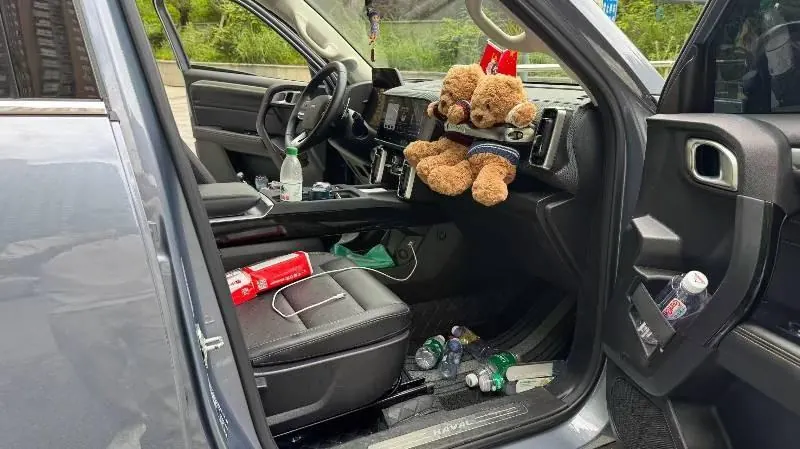 Haval 2021 Big Dogs 1.5T Border Animal Husbandry Wangcai Edition Automatic Gear 4